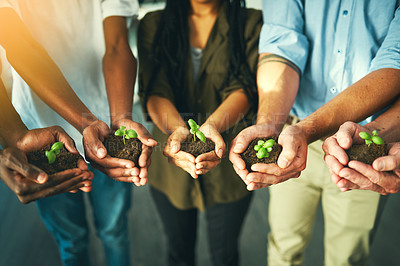 Buy stock photo Plant, sustainability and earth with hands of business people for teamwork, support or environment. Collaboration, growth and investment with employees and soil for future, partnership or community