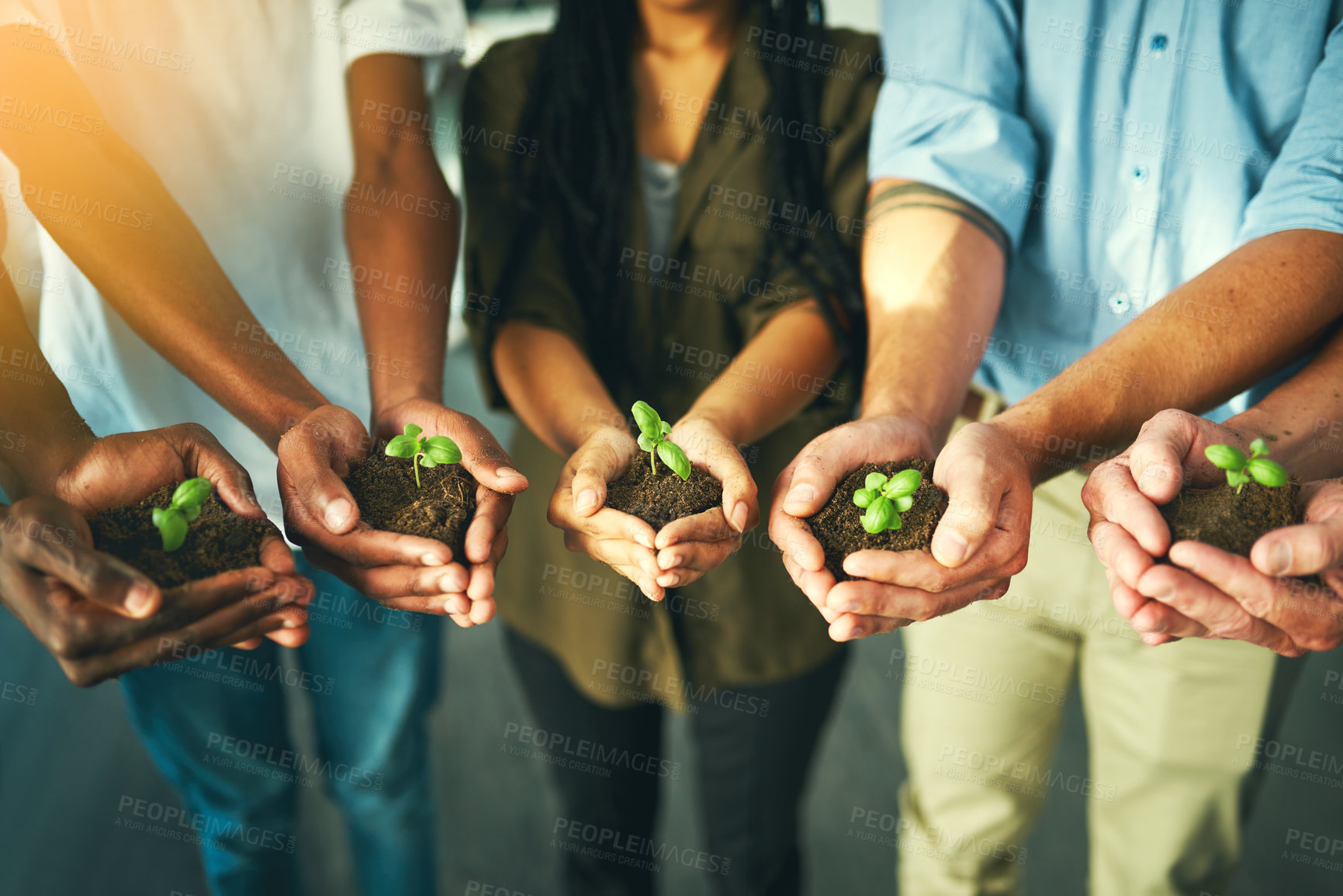 Buy stock photo Plant, sustainability and earth with hands of business people for teamwork, support or environment. Collaboration, growth and investment with employees and soil for future, partnership or community