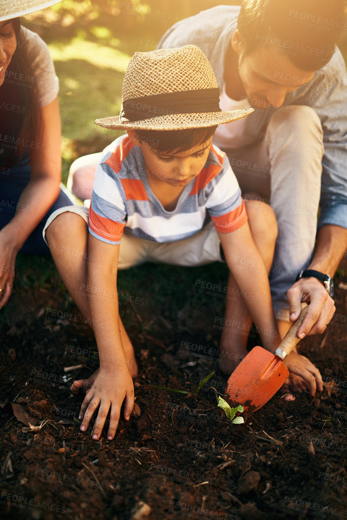 Buy stock photo Family, soil or learning to plant in garden for sustainability, agriculture care or farming development. Kid, natural growth or hands of parents with spade for sand or planting for teaching a child