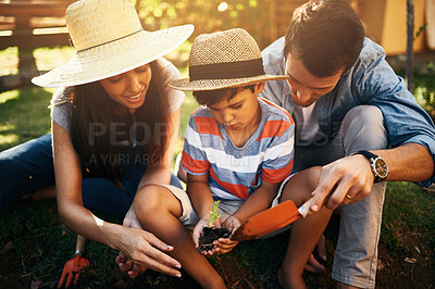 Buy stock photo Father, mother or kid learning to plant in garden for sustainability, agriculture or farming as a family. Dad, mom or parents gardening, planting or teaching a boy child agro growth in environment 