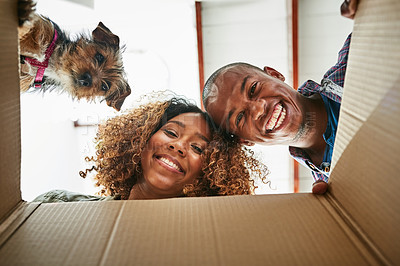 Buy stock photo Low angle portrait of a cheerful couple and their dog looking into a box together to see whats inside