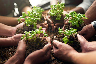 Buy stock photo People, hands and soil with plant for natural growth, eco friendly environment or sprout in nature. Closeup of group, team or community with seed or sapling for harvest, production or fresh produce