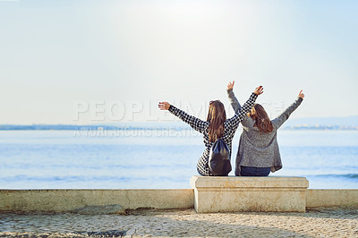 Buy stock photo Rearview shot of two attractive young women spending a day by the ocean