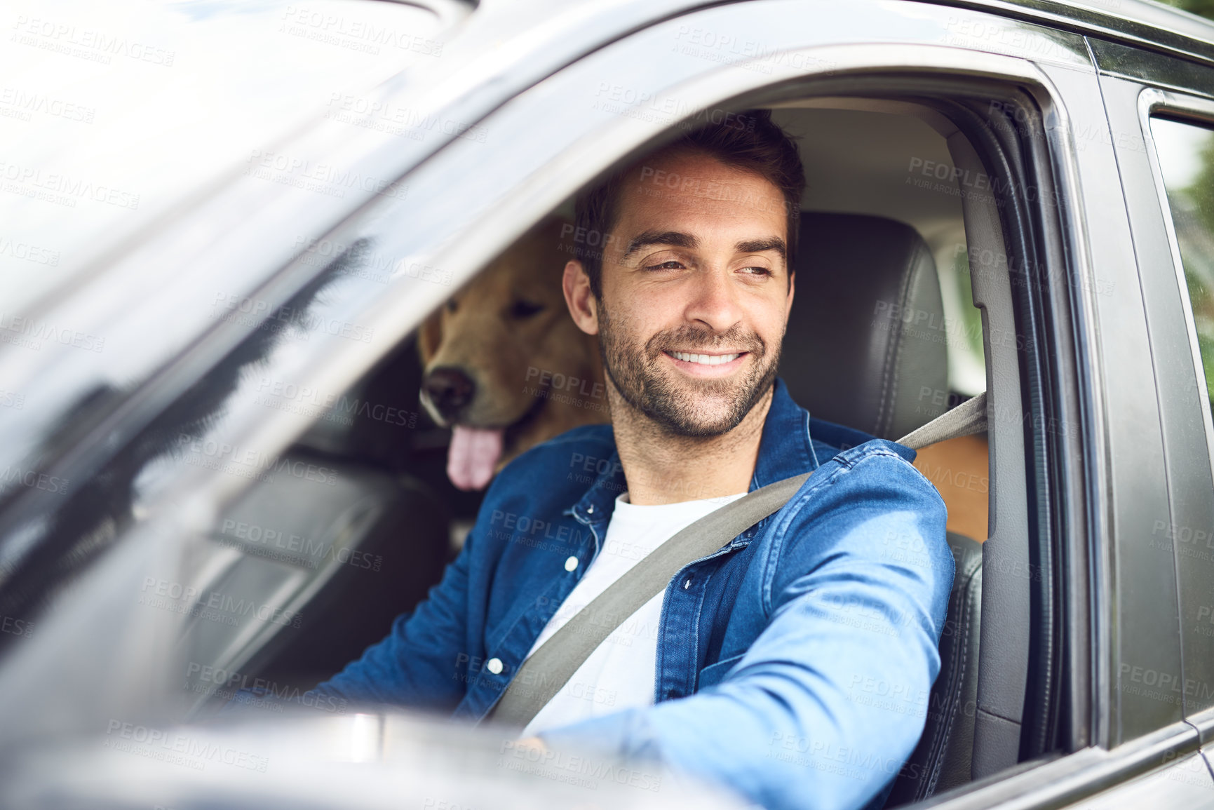 Buy stock photo Cropped shot of a handsome young man taking a drive with his dog in the backseat