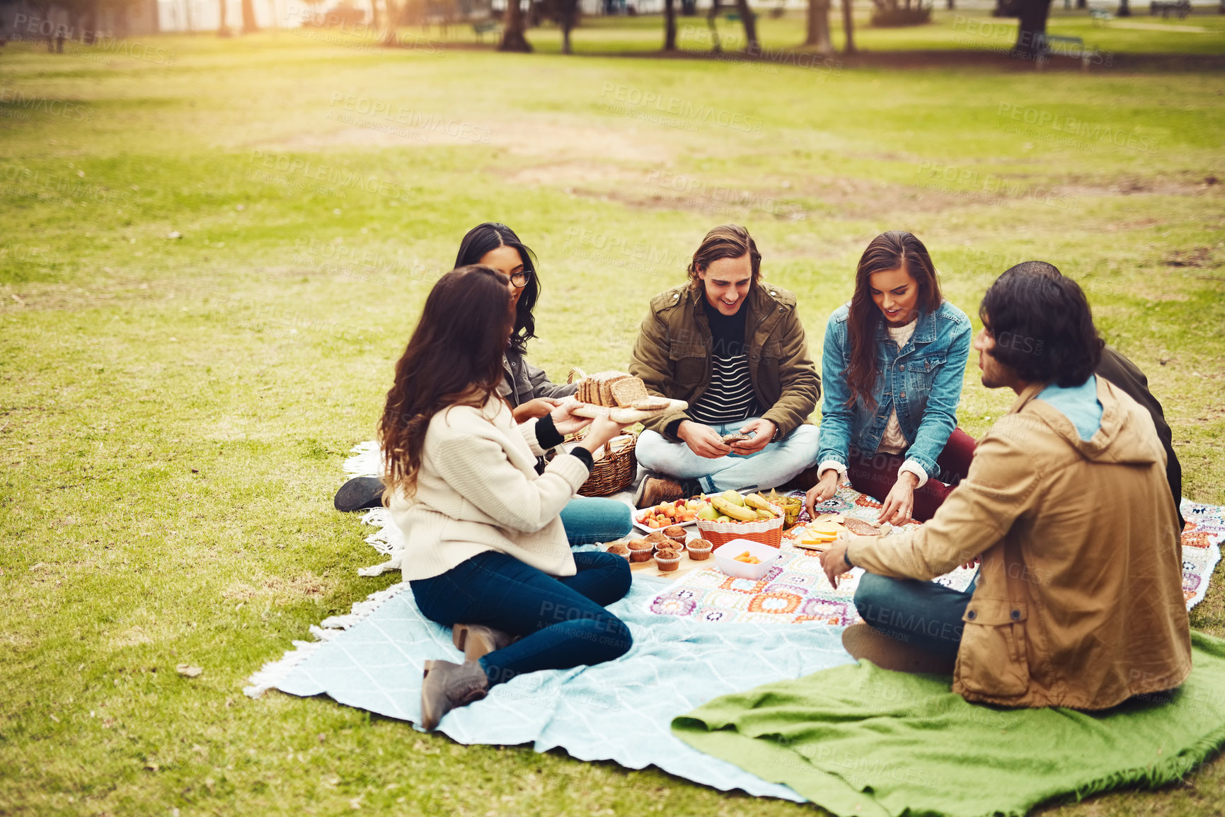 Buy stock photo Shot of a group of cheerful young friends having a picnic together outside in a park during the day