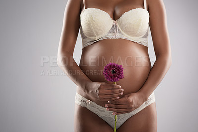 Buy stock photo Studio shot of an unrecognizable pregnant woman holding a flower against a gray background