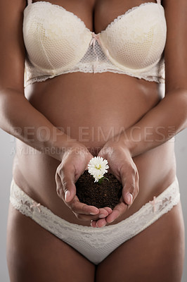 Buy stock photo Studio shot of an unrecognizable pregnant woman holding a growing flower against a gray background
