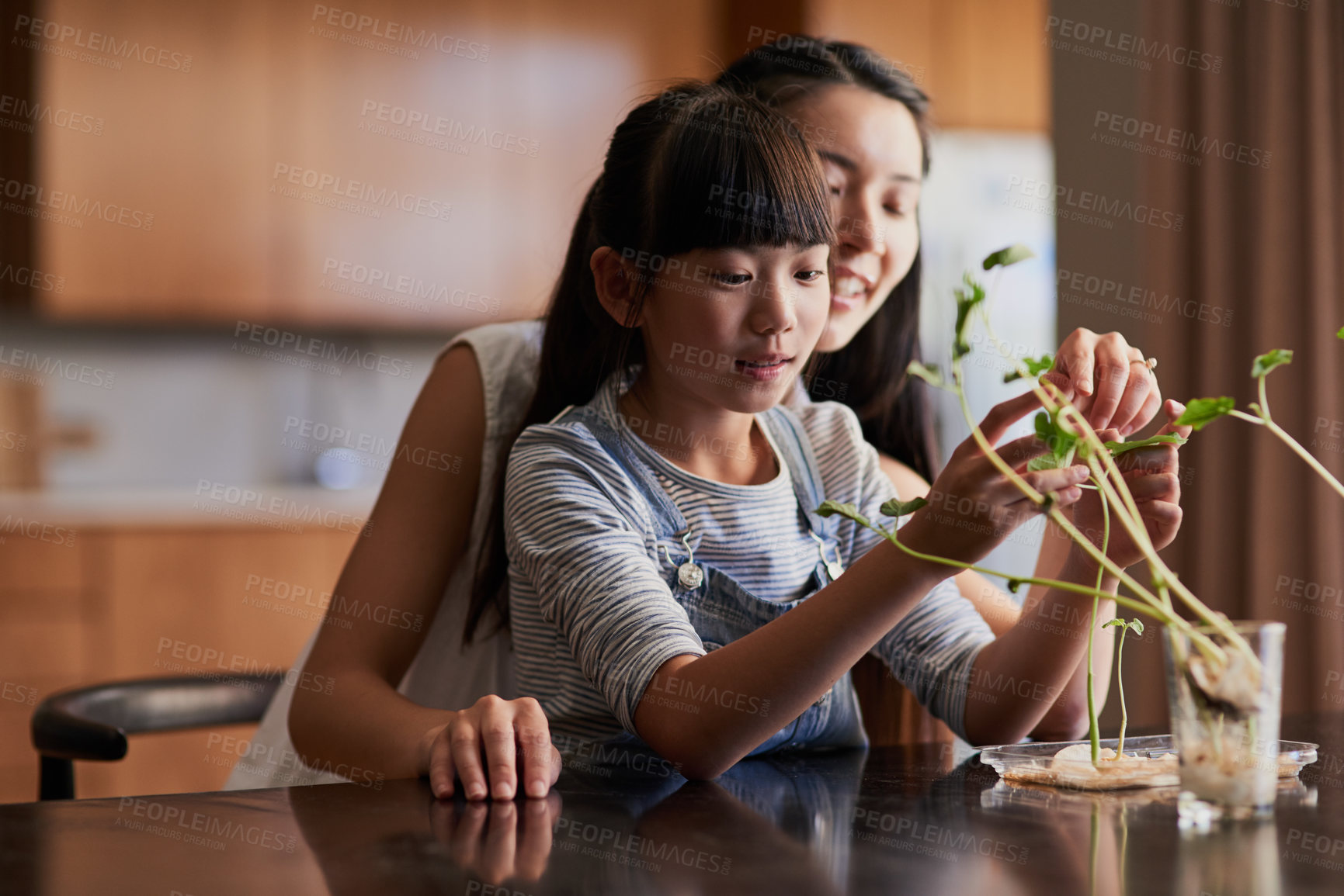 Buy stock photo Shot of a cheerful mother and daughter spending time taking care of plants together inside at home during the day