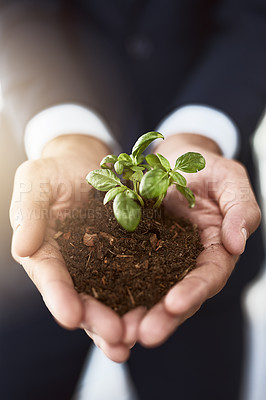 Buy stock photo Closeup shot of an unrecognizable businessman holding a plant growing in soil