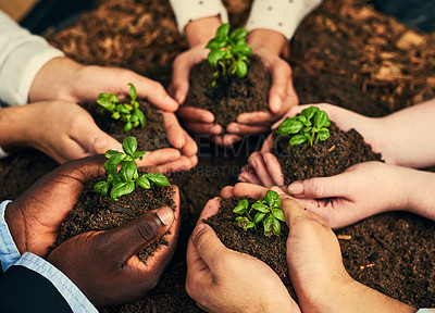 Buy stock photo Hands, plants and group with support, teamwork or sustainable business, growth and eco friendly project. People in circle with palm, soil and sprout for future investment, prosperity and earth day