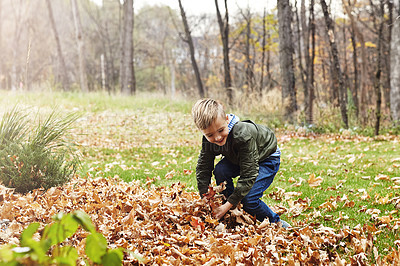 Buy stock photo Shot of an adorable little boy playing in the autumn leaves outdoors