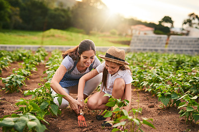 Buy stock photo Shot of an attractive young woman and her daughter working the fields on their family farm