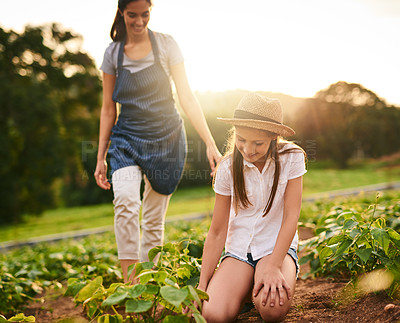 Buy stock photo Shot of a young girl working on the family farm with her mother in the background