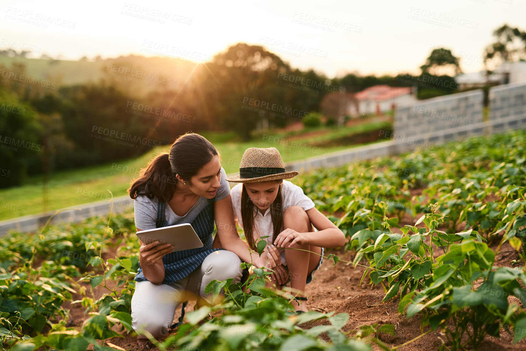 Buy stock photo Shot of an attractive young woman using a tablet while working on the family farm with her daughter