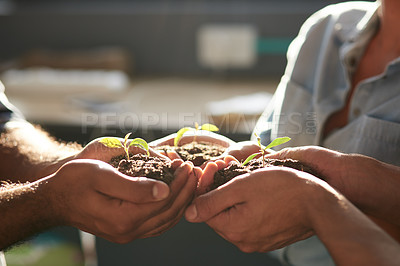 Buy stock photo People, soil in hands and plant for growth with help, development and sustainable business in agriculture. Farmers, fertilizer and holding fresh sapling with hope, environment care or responsibility