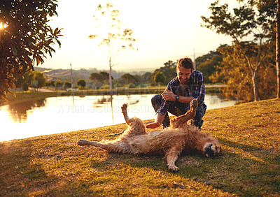 Buy stock photo Belly rub, outdoor and man with dog, nature and relax with golden retriever, bonding and together. Massage, pet and person with smile, playing and fun with animal, water and lake in woods and game