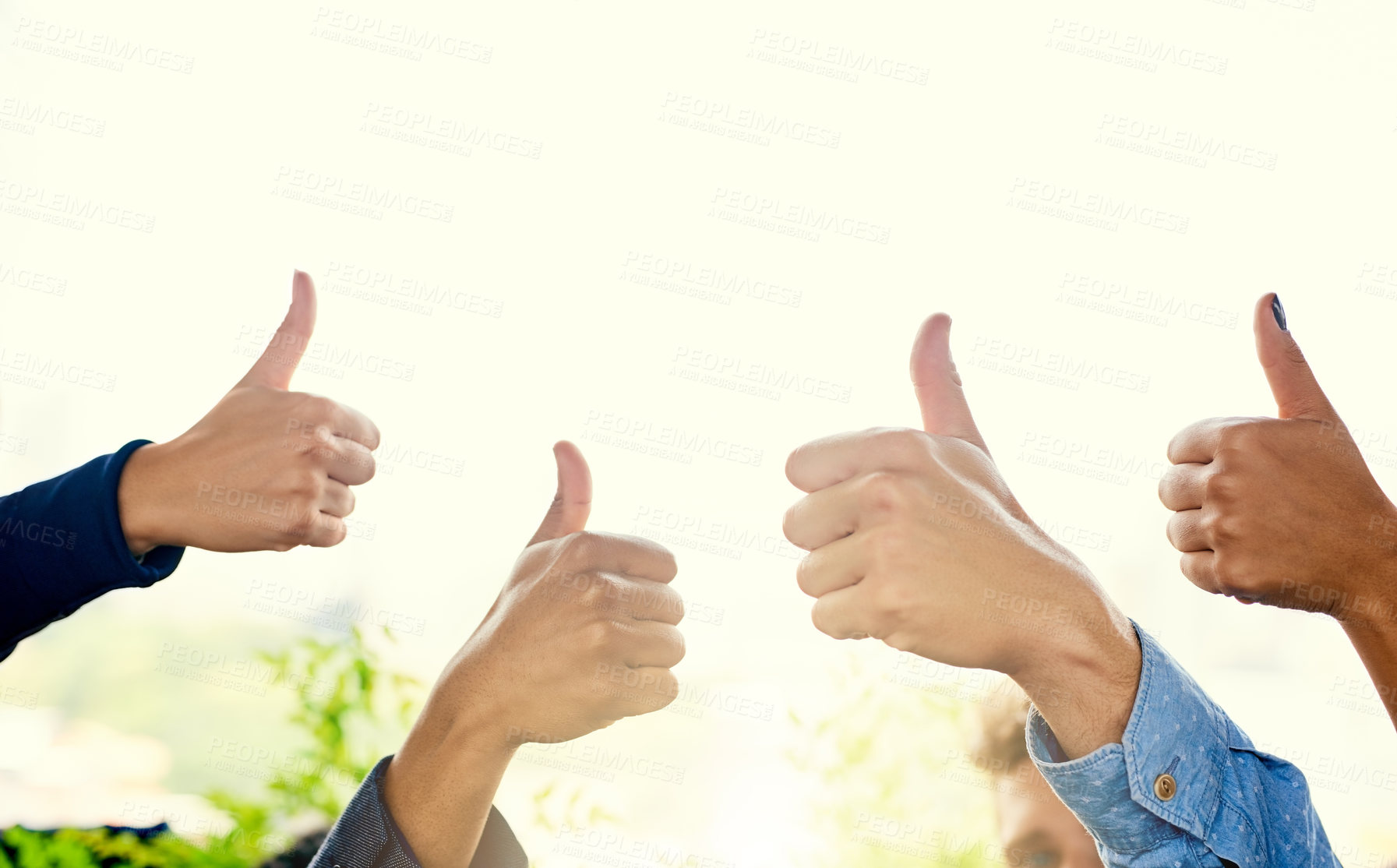 Buy stock photo Closeup shot of a group of unrecognizable businesspeople showing thumbs up together