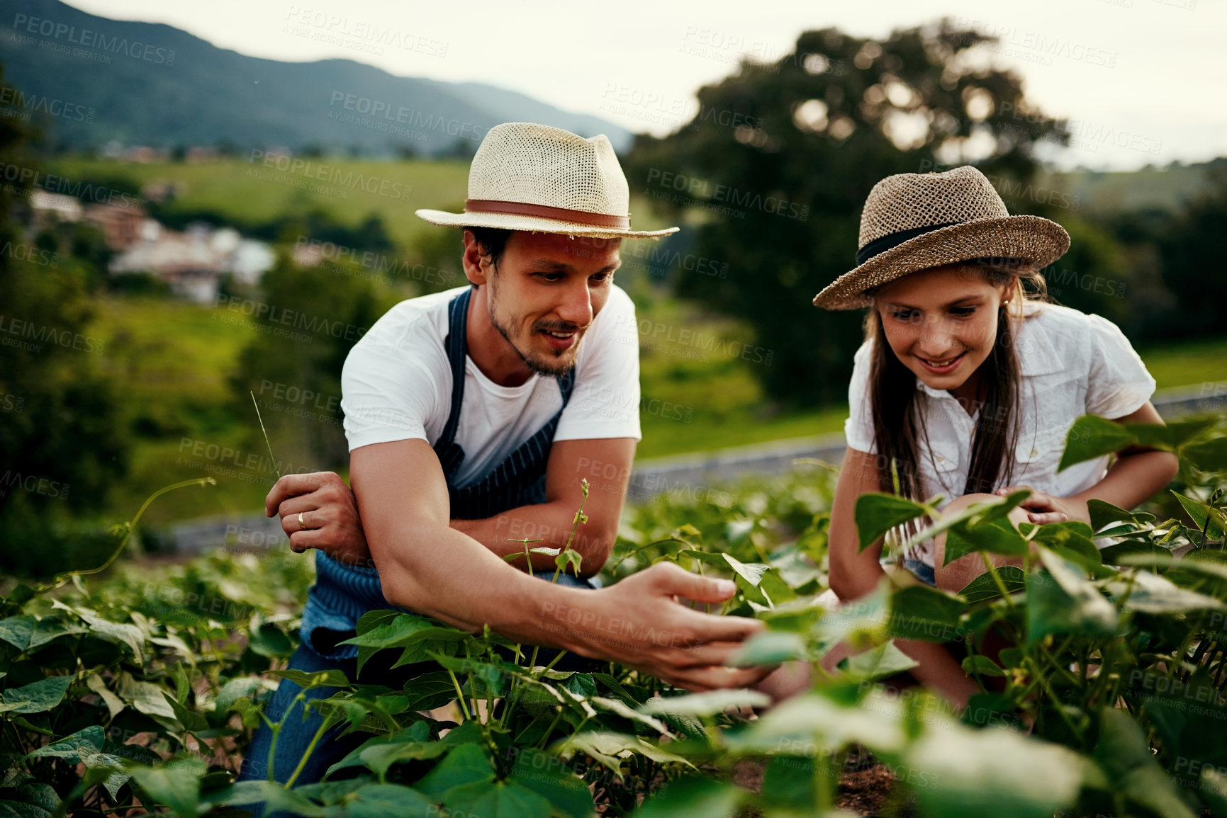 Buy stock photo Father, daughter and plants on farm for bonding, support and development with agriculture sustainability. Man, girl and help on homestead for teaching, learning or farming outdoor with crops growth 