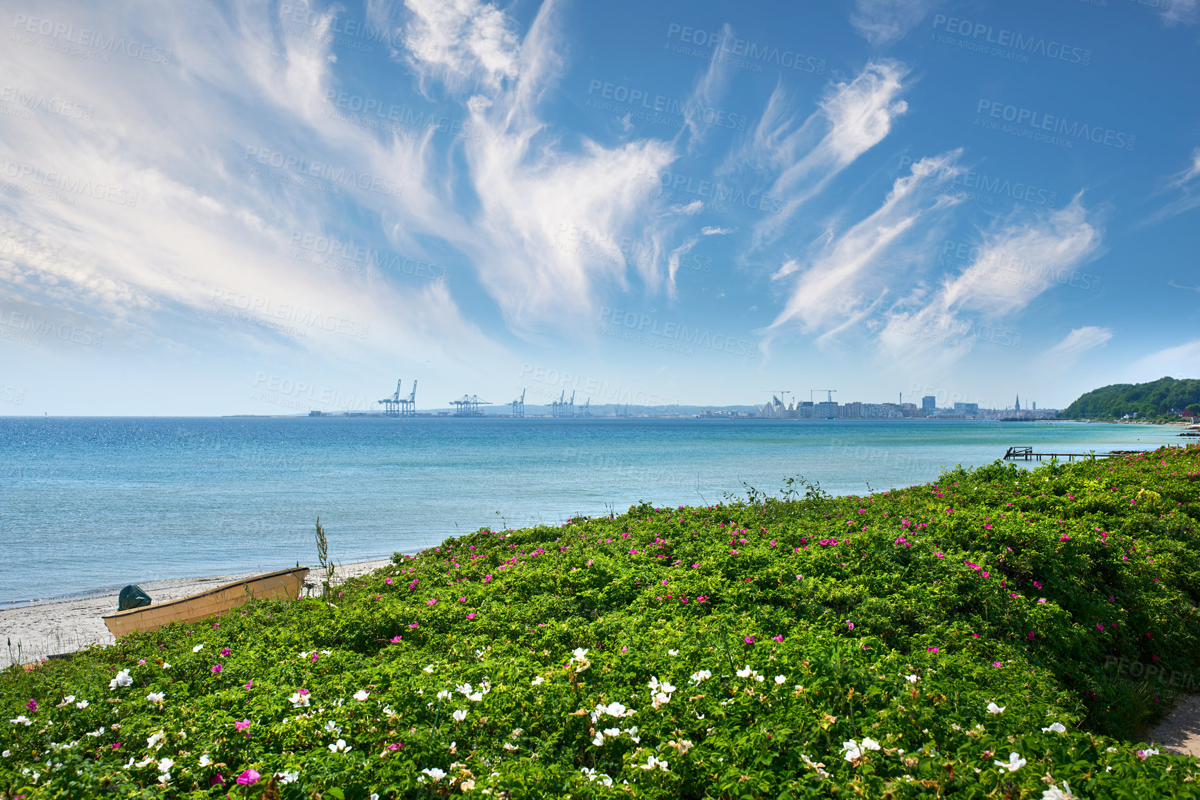Buy stock photo Sunny seaside with flowering wild plants. Calm sea against cloudy blue horizon with copy space. Lush greenery growing on dunes near a stunning ocean. Panorama nature scene with a harbor in background