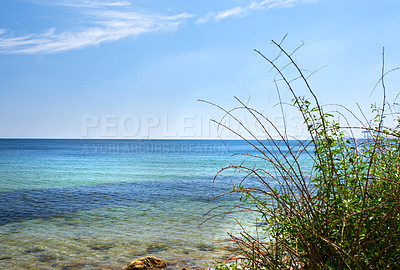 Buy stock photo Copy space at sea with green plants and a blue sky background. Calm ocean waves along the beach coast with a sailboat cruising in the horizon. Scenic landscape for a relaxing and zen summer vacation