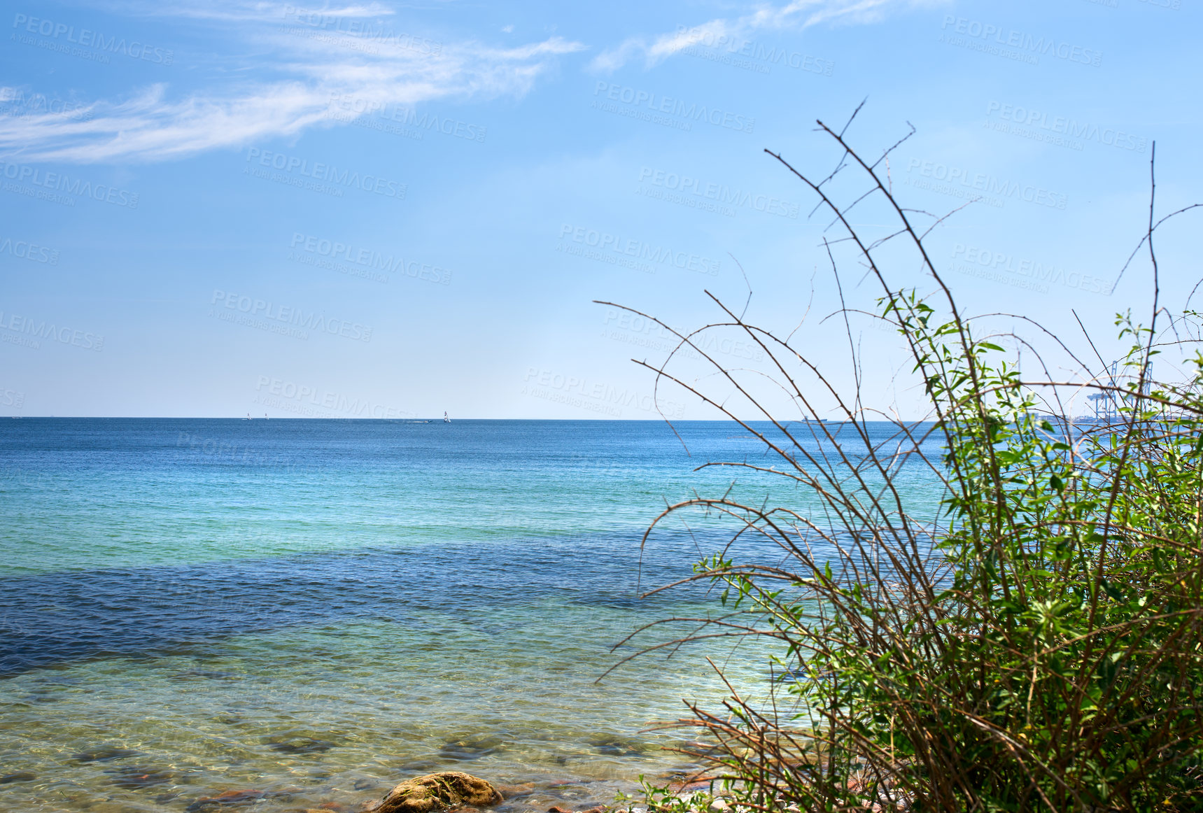 Buy stock photo Copy space at sea with green plants and a blue sky background. Calm ocean waves along the beach coast with a sailboat cruising in the horizon. Scenic landscape for a relaxing and zen summer vacation