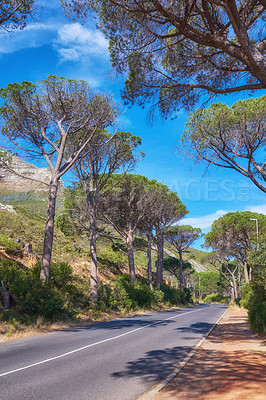 Buy stock photo Trees, road and mountain with blue sky for travel, journey or scenic route in nature or wilderness. Empty, path or street with natural growth, greenery or environment for trip, adventure or tourism