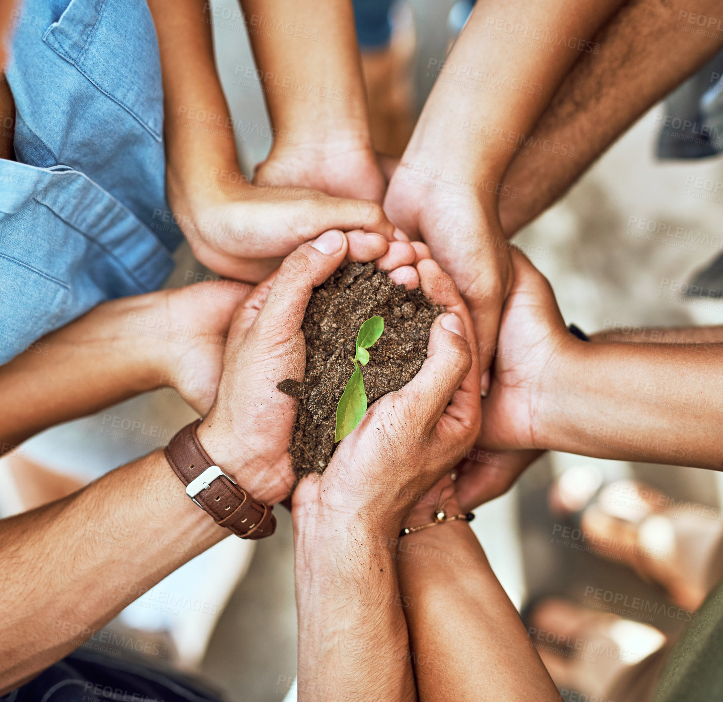 Buy stock photo Closeup shot of a group of people holding a plant growing in soil