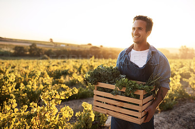 Buy stock photo Agro, crate and thinking with man on farm for agribusiness, growth or sustainability. Future, idea and smile of confident farmer outdoor in field, planning for ecology, grocery market or produce