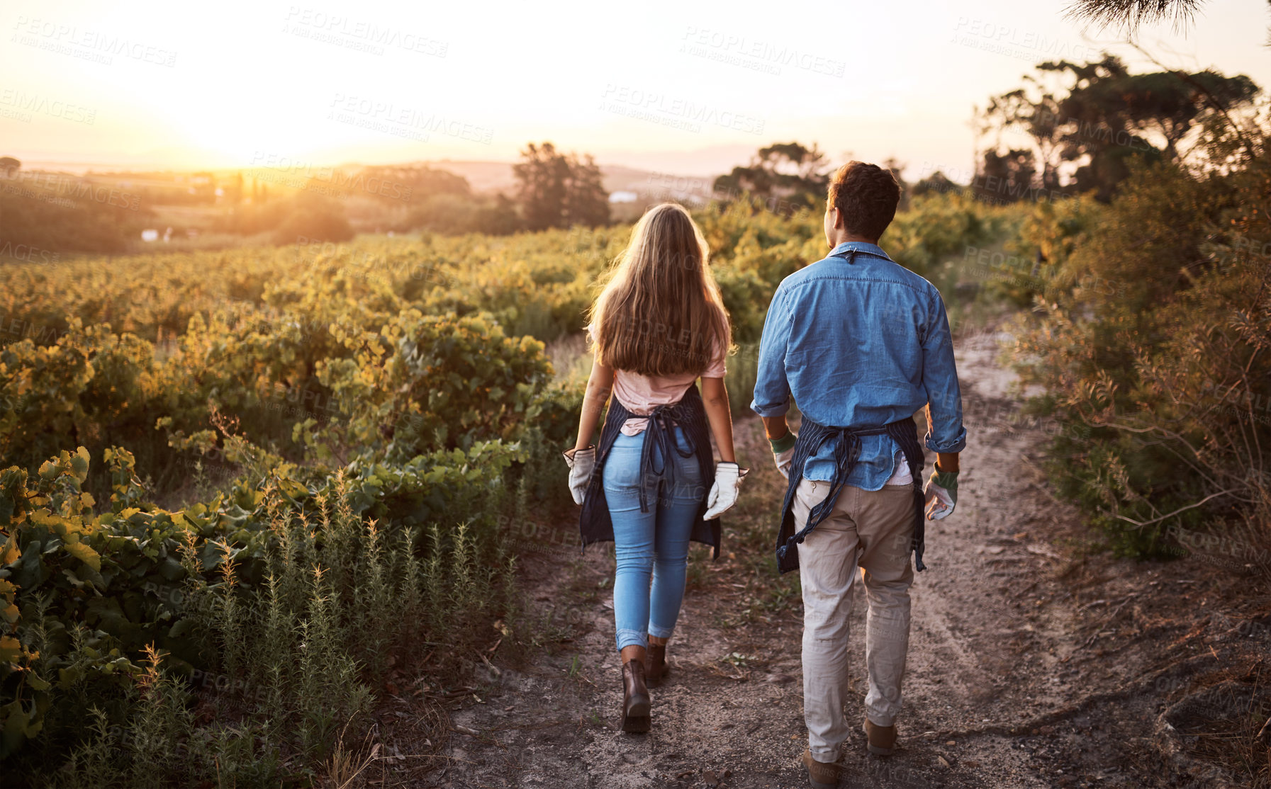 Buy stock photo Rearview shot of a young man and woman walking through a farm