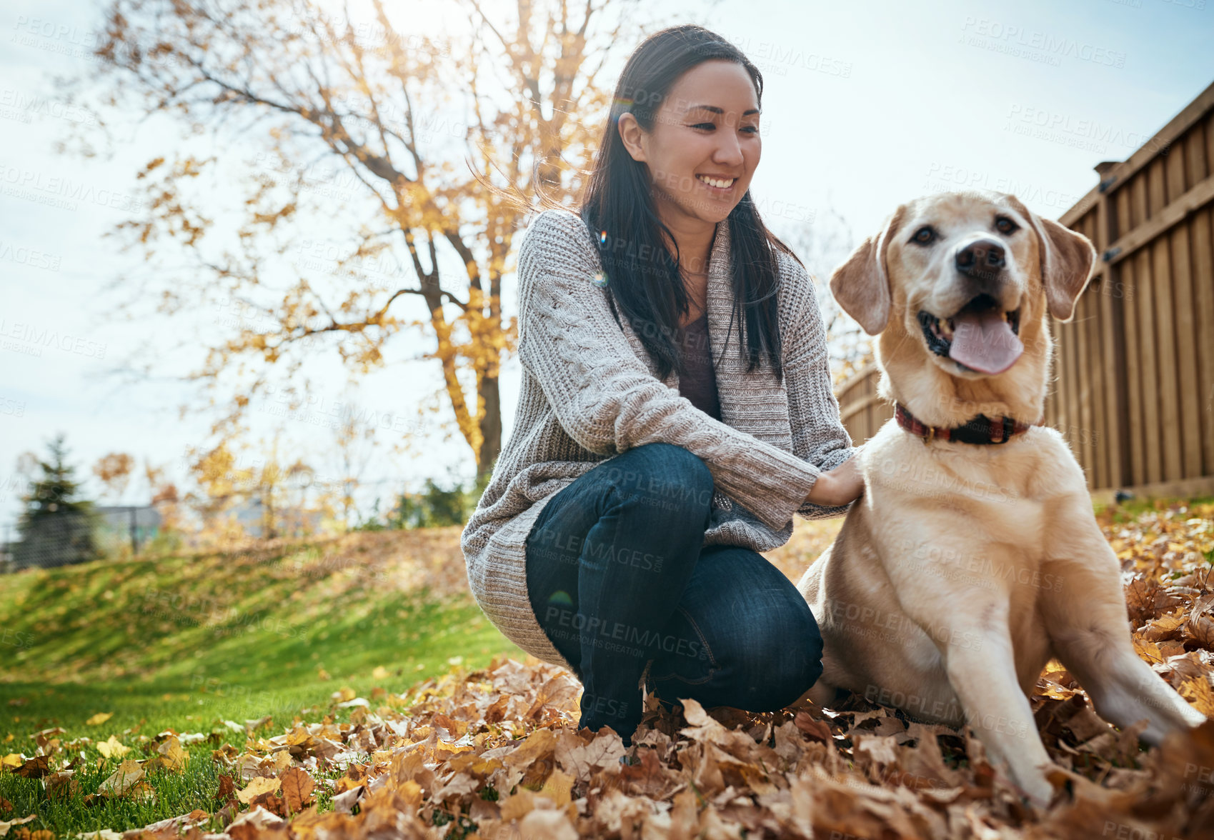 Buy stock photo Shot of an attractive young woman having fun with her dog on an autumn day in a garden