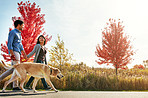 Pet-owning couples are closer