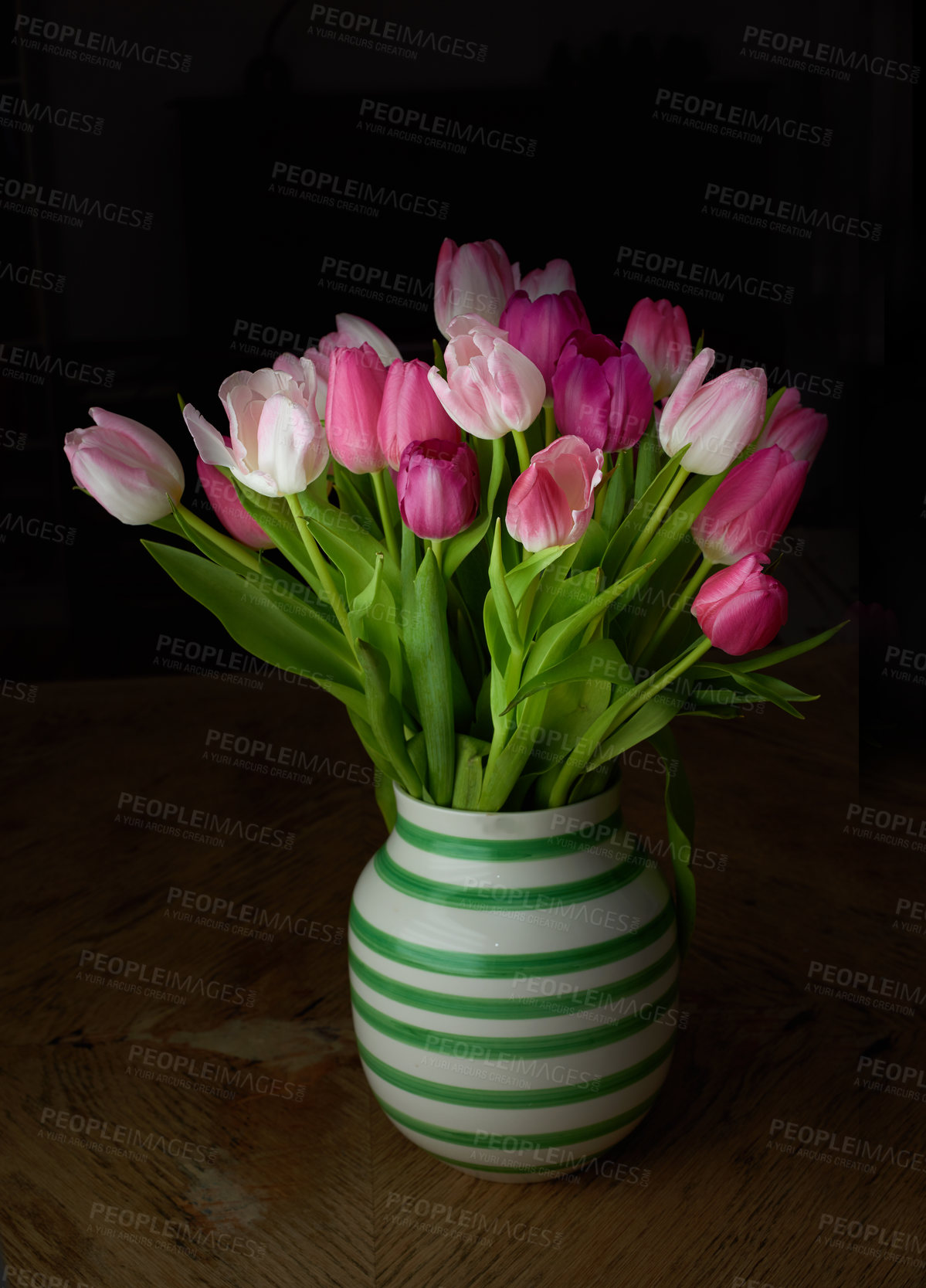 Buy stock photo Pink tulips in ceramic vase holder isolated against a black background in studio with copy space. Pot plant of vibrant, blossoming, blooming flowers symbolising love. Sweet gesture for valentines day