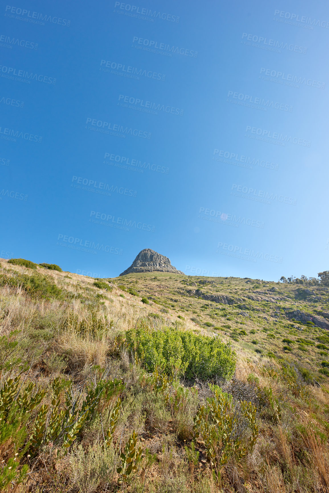 Buy stock photo Copyspace with scenic landscape of Lions Head mountain in Cape Town South Africa against a clear blue sky background. Magnificent panoramic of plants growing around a famous landmark and destination