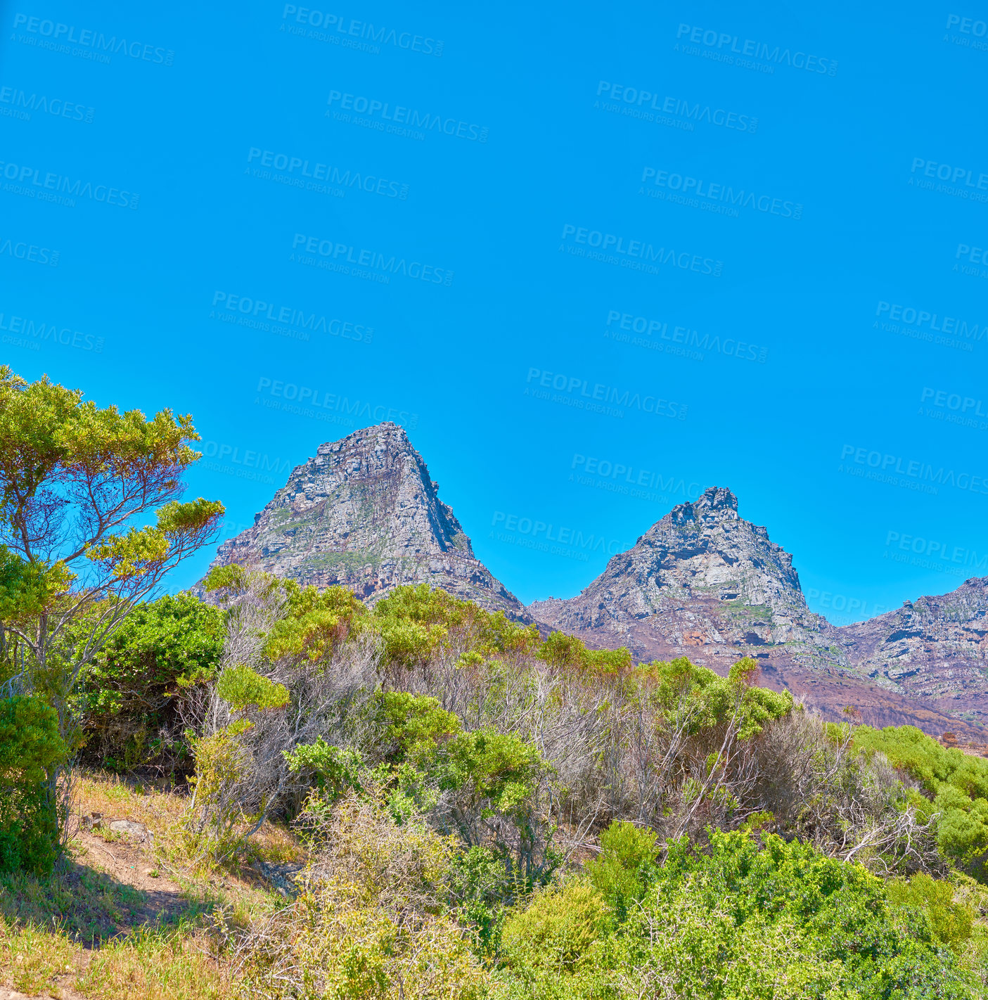 Buy stock photo Scenic landscape mountain view of the Twelve Apostles mountains in Cape Town, South Africa with blue sky and copy space. Famous hiking terrain with growing trees, shrubs, bushes. Travel and tourism