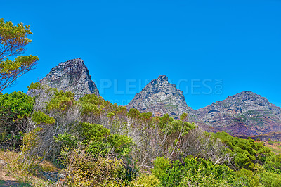 Buy stock photo Landscape view of the Twelve Apostles Mountains in Cape Town, South Africa with a blue sky and copy space. Steep scenic famous hiking terrain with growing trees, bushes and shrubs. Travel and tourism