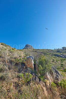 Buy stock photo Landscape of a mountain in Cape Town, South Africa against a blue horizon. Rocky mountainous area with greenery on a sunny day. Lions Head is a popular travel destination and attraction for hiking 