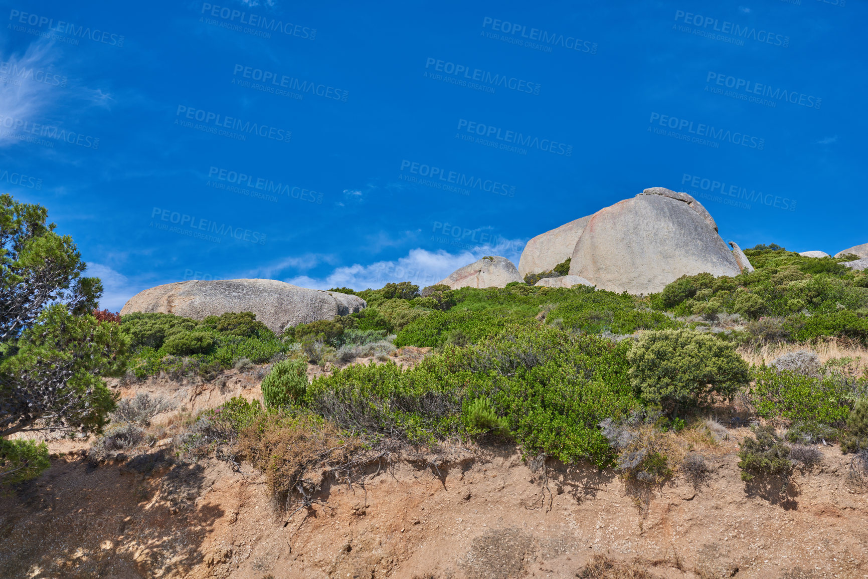 Buy stock photo Landscape scenic view, blue sky with copy space of Lions Head mountains in Cape Town, South Africa. Famous steep hiking, and trekking terrain with growing green trees, lush shrubs, and bushes