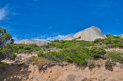 Buy stock photo Landscape scenic view, blue sky with copy space of Lions Head mountains in Cape Town, South Africa. Famous steep hiking, and trekking terrain with growing green trees, lush shrubs, and bushes