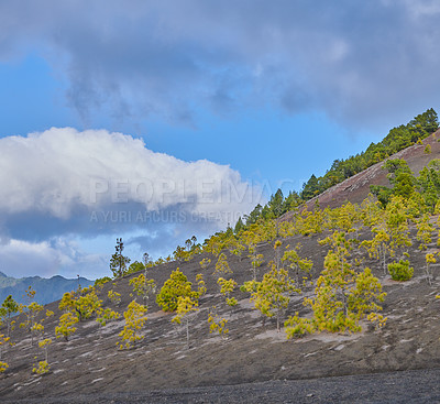 Buy stock photo Beautiful lava landscape on the Cumbre Nueva in La Palma
