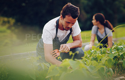 Buy stock photo Shot of a young man working in a garden with his wife in the background
