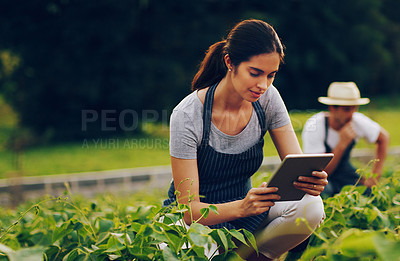 Buy stock photo Shot of a young woman using a digital tablet while working in a garden with her husband in the background