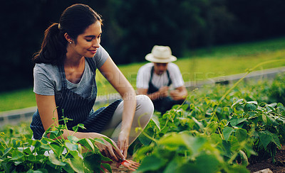 Buy stock photo Shot of a young woman working in a garden with her husband in the background