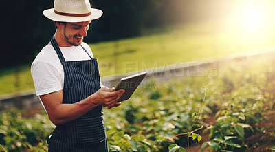 Buy stock photo Agriculture, farmer and man with tablet, typing and internet with quality control. Nature, growth or employees with plants, technology or inspection for vegetables, sustainability or harvest with app