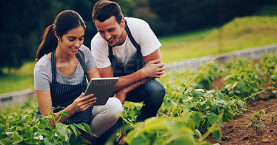 Buy stock photo Shot of a young couple using a digital tablet together while working in a garden