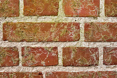 Buy stock photo Closeup of weathered red brick wall and copy space on the exterior of a house or city building. Texture and detailed perspective of rough architecture construction design with moss growing on it