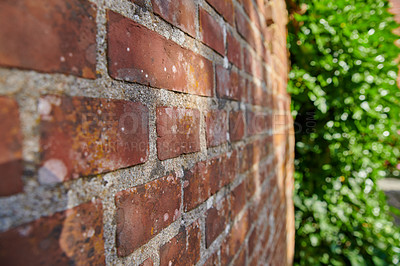 Buy stock photo A close-up of red bricks with green plants in a garden. Texture, detailed background, a perspective of rough construction design on an old structure with green grass planted on the side.