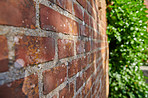 Brick backgrounds 