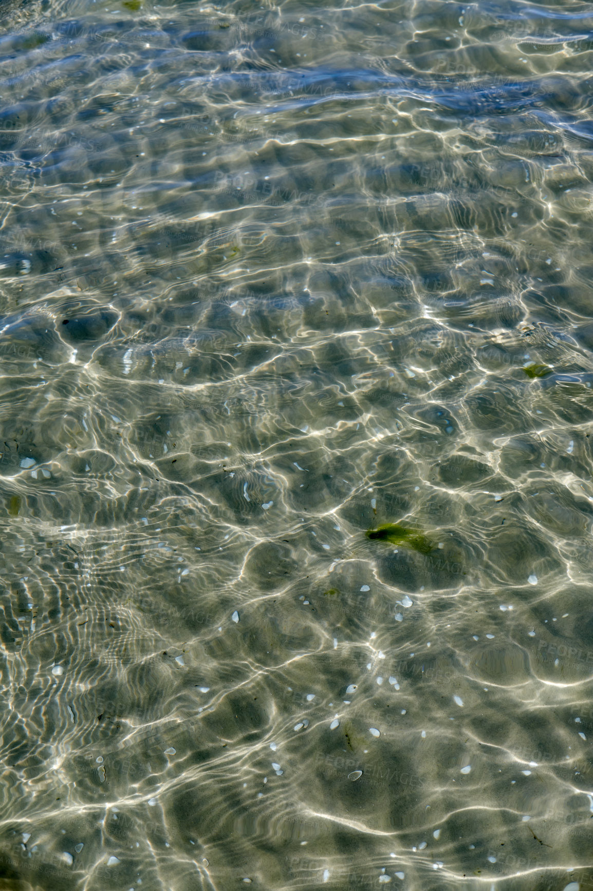 Buy stock photo A clear water surface on the sea coast with the seashell and wavy water on a sunny day. The top view of transparent sea water at the seashore with the reflection of scattered sunlight under the water