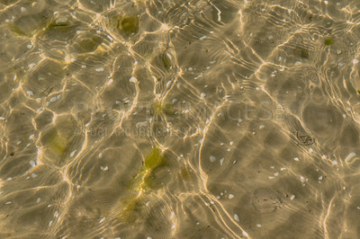 Buy stock photo Closeup of shallow sea or beach water with copy space on a sunny day. Sun shining on a sandy lake with small tinny ripples in summer. clear fresh pond from a top view with sunlight rays as background