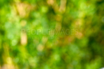 Buy stock photo Defocused and blurred view of a natural green plant background with copy space. Unfocused greenery in a lush front yard, backyard, forest or woods with bush foliage on a sunny summer day